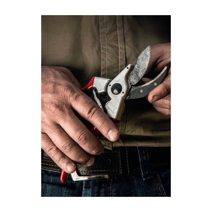 Felco Model 2 Secateurs Classic